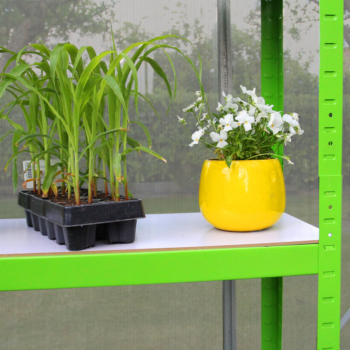 Invernadero sin Base Policarbonato Tipo Caseta Jardín 1.8m x 1.8m