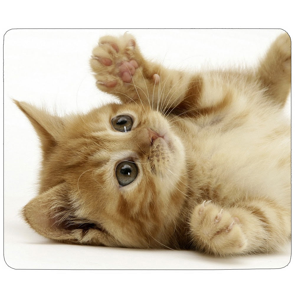 Alfombrillas de ratón de sublimación PixMax (paquete de 10)