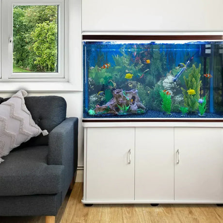 Acuario moderno con peces coloridos y plantas verdes, ubicado junto a un sofá gris y una ventana que da al jardín exterior