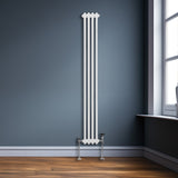 Radiador Tradicional Vertical de 2 columnas - 1800x 202mm - Blanco