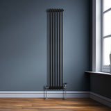 Radiador Tradicional Vertical de 2 columnas - 1800x 292mm - Negro