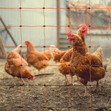 Malla Conductora Eléctrica para Aves de Corral