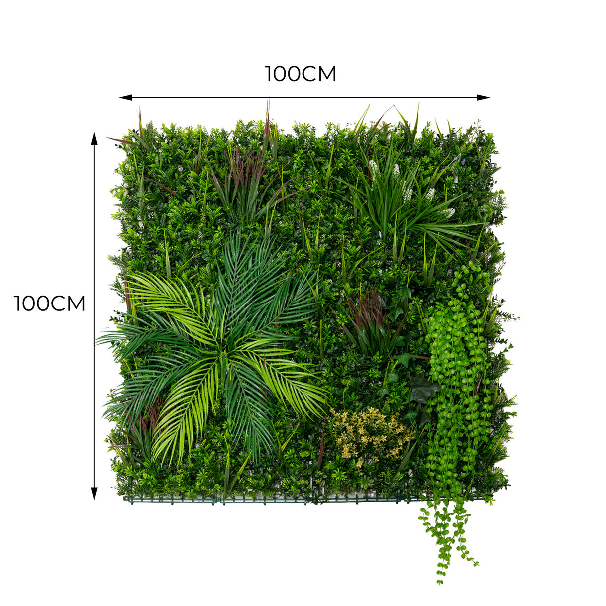 Panel de pared de Jardín Vertical Artificial Alina - 100cm x 100cm