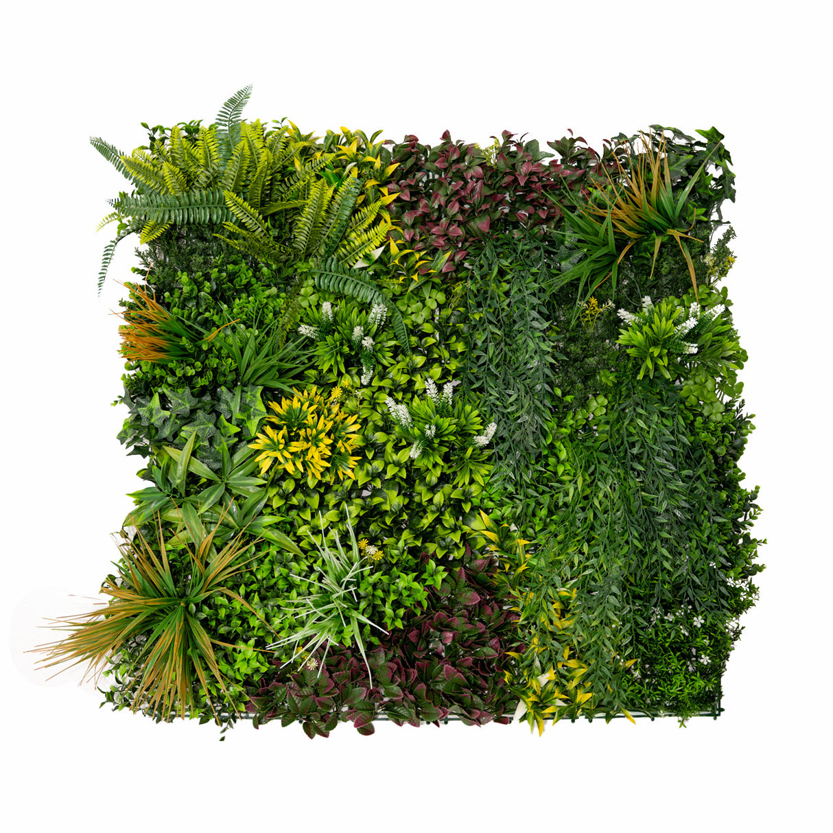 Panel de pared de Jardín Vertical Artificial Cassia - 100cm x 100cm (set 3 unidades)