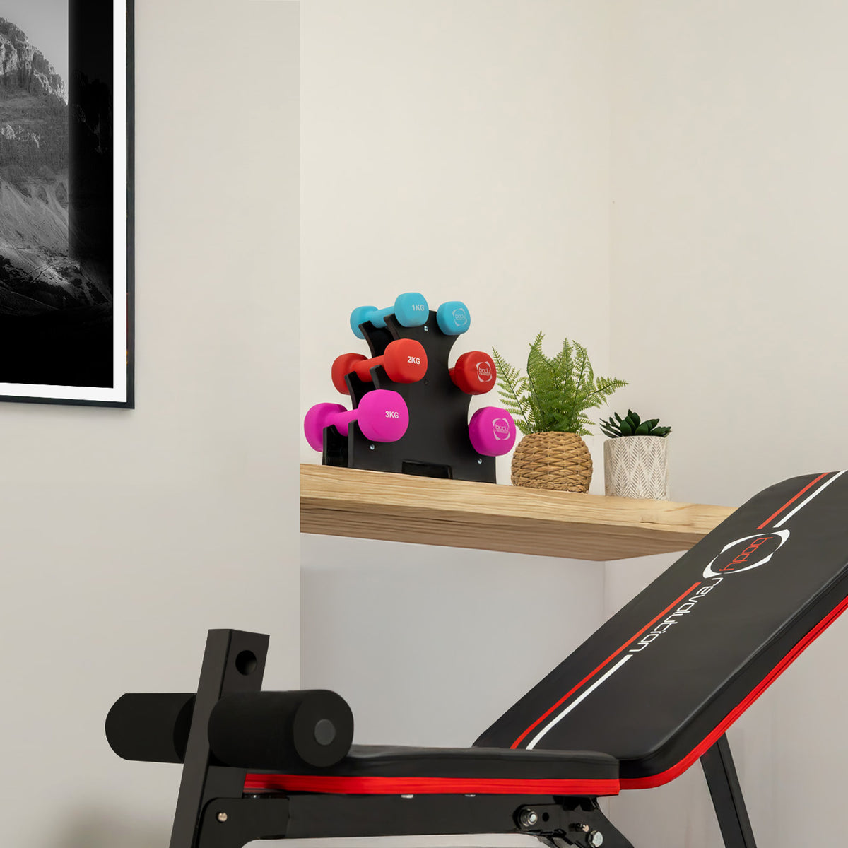 Set de Mancuernas de Neopreno de 12 kg con Soporte