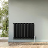 Radiador de columna ovalado negro de 600 mm x 780 mm, con válvulas, instalado en una pared junto a una ventana con vista al exterior