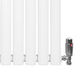 Radiador de columna ovalado blanco de 600 mm x 1020 mm con válvulas de metal brillante, diseño elegante y moderno