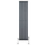 Radiador de columna ovalado en gris antracita, con válvulas, diseño elegante y moderno, ideal para espacios contemporáneos