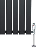 Radiador plano de columna simple en gris antracita, con válvulas cromadas, diseño moderno y acabado liso, dimensiones 1800 mm x 280 mm