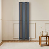 Radiador de columna ovalado en gris antracita, 1800 mm x 480 mm, con diseño moderno y acabado liso, instalado en pared clara