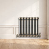 Radiador Tradicional de 2 Columnas - 600 x 605mm - Metal Crudo