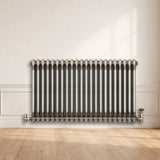 Radiador Tradicional de 2 Columnas - 600 x 1010mm - Metal Crudo