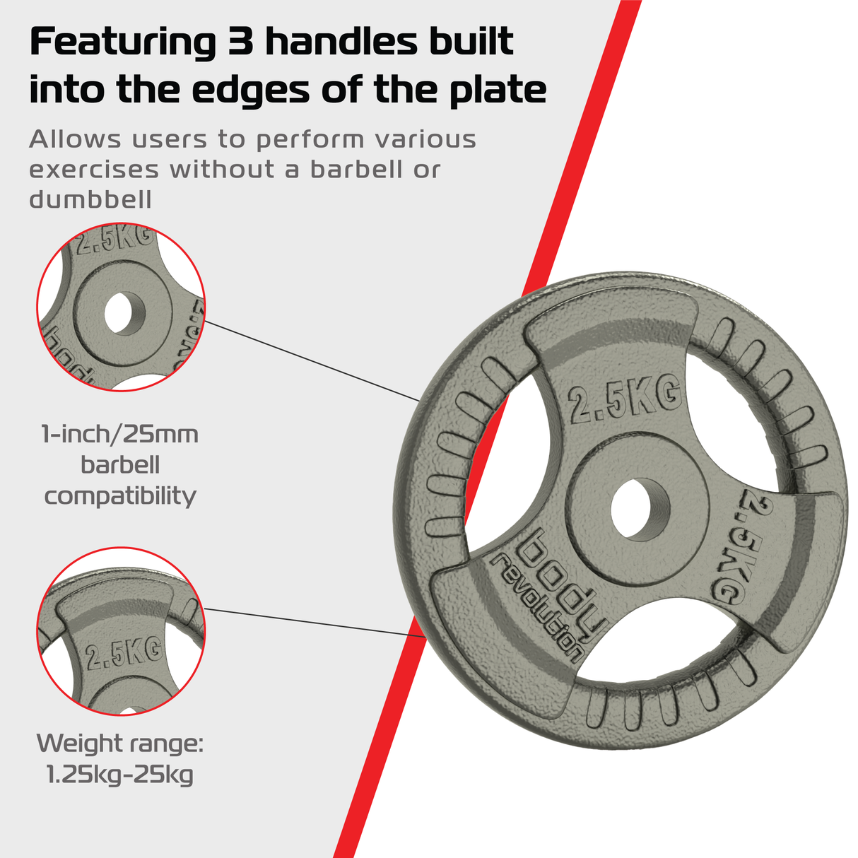 2x Placas de Pesas Disco con Agarre - 2,5Kg