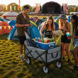 Carrito Plegable Todoterreno para Playa y Festivales Gris