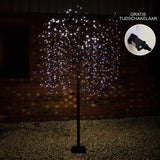 Sauce Llorón Iluminado 240cm LED Sauce Llorón Negro 800 LEDs Blanco Frío